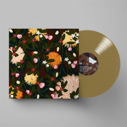 Виниловая пластинка Bright Eyes - Noise Floor (Rarities: 1998-2005)