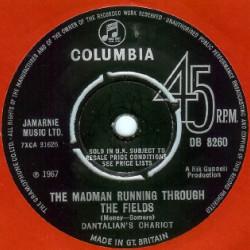 Виниловая пластинка Dantalian's Chariot - The Madman Running Through The Fields