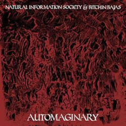 Виниловая пластинка Natural Information Society &amp; Bitchin Bajas - Automaginary