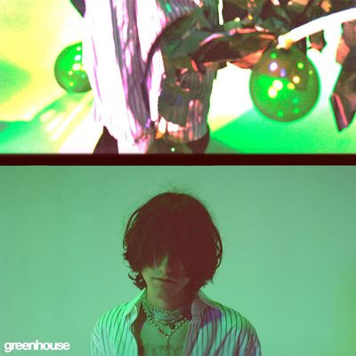Виниловая пластинка Aldn - Greenhouse (Green Coloured Vinyl)