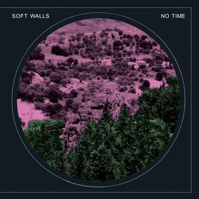Виниловая пластинка Soft Walls - No Time