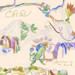 Виниловая пластинка Chris Robinson Brotherhood - Barefoot In The Head