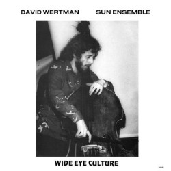 Виниловая пластинка David Wertman &amp; Sun Ensemble - Wide Eye Culture - Deluxe Version