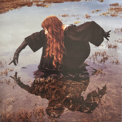 Виниловая пластинка Death And The Maiden - Uneven Ground