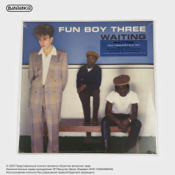 Виниловая пластинка Fun Boy Three - Waiting (LP) Blue