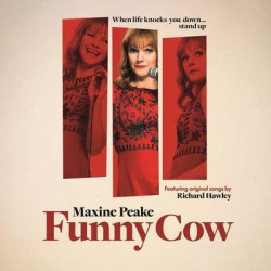 Виниловая пластинка Richard Hawley &amp; Ollie Trevers - Funny Cow; Original Motion Picture Soundtrack
