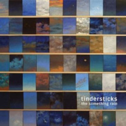 Виниловая пластинка Tindersticks - The Something Rain