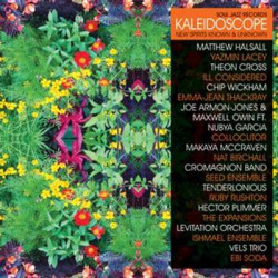 Виниловая пластинка Various - Kaleidoscope: New Spirtis &amp; Unknown (3LP/7inch/DL)