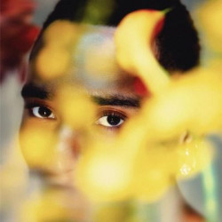 Виниловая пластинка Durand Bernarr - Bloom (LP)