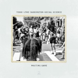 Виниловая пластинка Terri Lyne Carrington &amp; Social Science - Waiting Game