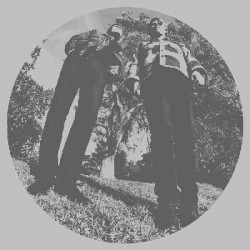 Виниловая пластинка Ty Segall And White Fence - Hair