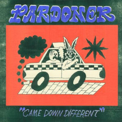Виниловая пластинка Pardoner - Came Down Different
