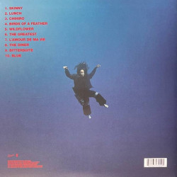 Виниловая пластинка Billie Eilish - Hit Me Hard &amp; Soft (LP) цветной винил