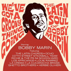 Виниловая пластинка Various Artists - We’Ve Got A Groovy Thing Going: The Latin Soul Of