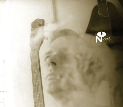 Виниловая пластинка Various Artists - Wayfaring Strangers: Lonesome Heroes