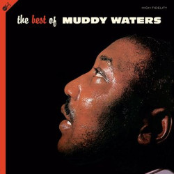 Виниловая пластинка Muddy Waters - The Best Of Muddy Waters