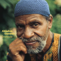 Виниловая пластинка Abiodun Oyewole - Gratitude