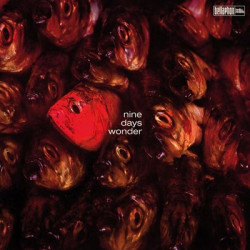 Виниловая пластинка Nine Days Wonder - Nine Days Wonder