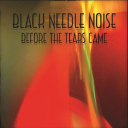 Виниловая пластинка Black Needle Noise - Before The Tears Came (2Lp)