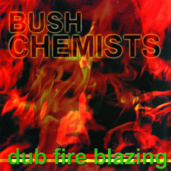 Виниловая пластинка The Bush Chemists - Dub Fire Blazing