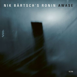 Виниловая пластинка Nik Bartschs Ronin - Awase