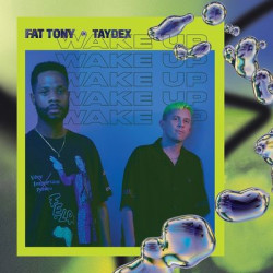 Виниловая пластинка Fat Tony And Taydex - Wake Up