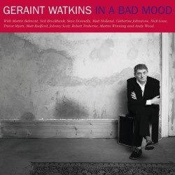 Виниловая пластинка Geraint Watkins - In A Bad Mood In A Raw Mood