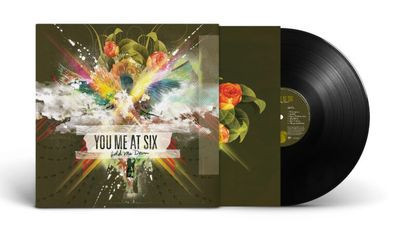 Виниловая пластинка You Me At Six - Hold Me Down