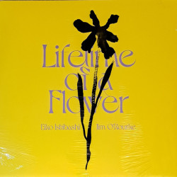 Виниловая пластинка Eiko Ishibashi - Jim Orourke-Lifetime Of A Flower