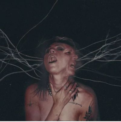 Виниловая пластинка Hot Milk - A Call To The Void