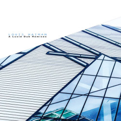 Виниловая пластинка Louis Haiman - A Lucid Dub (12 Remixes)