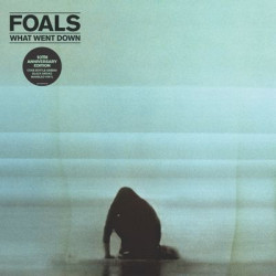Виниловая пластинка Foals - What Went Down