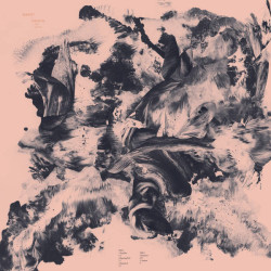 Виниловая пластинка Barnett &amp; Coloccia - Third Wilderness