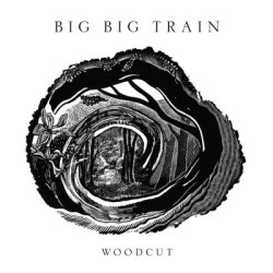Виниловая пластинка Big Big Train - Woodcut