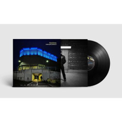 Виниловая пластинка Richard Hawley - In This City They Call You Lov (Великобритания, лимитированное издание)