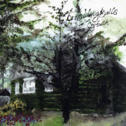 Виниловая пластинка Trembling Bells - Carbeth