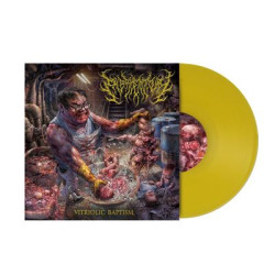 Виниловая пластинка Embryectomy - Vitriolic Baptism (LP)