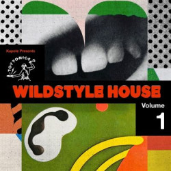 Виниловая пластинка Various Artists - Kapote Presents Wildstyle Hous