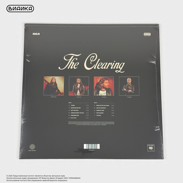 Виниловая пластинка Wolf Alice - The Clearing (LP)