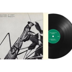 Виниловая пластинка Courtney Barnett - Creature Of Habit