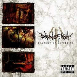 Виниловая пластинка Dawn Of Ashes - Anatomy Of Suffering