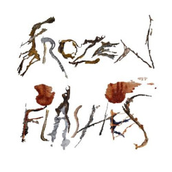 Виниловая пластинка Okvsho - Frozen Flashes (LP)