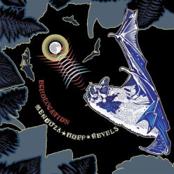 Виниловая пластинка Mendoza Hoff Revels - Echolocation