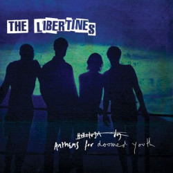 Виниловая пластинка The Libertines - Anthems For Doomed Youth