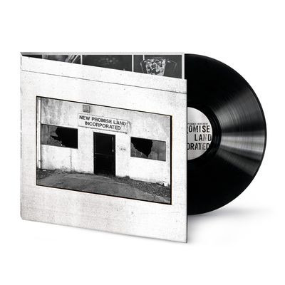 Виниловая пластинка The Temperance Movement - New Promise Land Incorporated (LP)