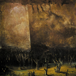 Виниловая пластинка Tenebrae In Perpetuum - Vacuum Coeli (Coloured Vinyl)