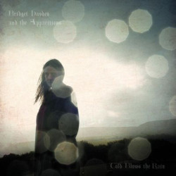 Виниловая пластинка Bridget Hayden And The Apparit - Cold Blows The Rain