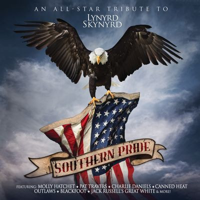 Виниловая пластинка Various Artists - Southern Pride - An All-Star T