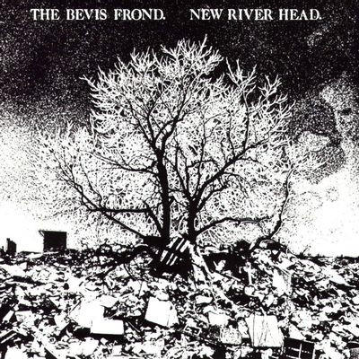 Виниловая пластинка The Bevis Frond - New River Head Release