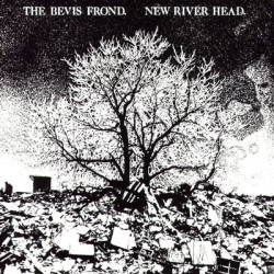 Виниловая пластинка The Bevis Frond - New River Head Release